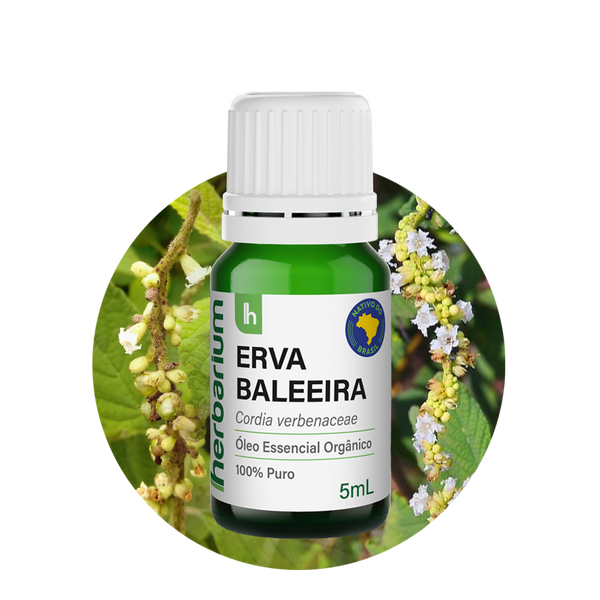 Óleo Essencial de Erva Baleeira Orgânico 5ml